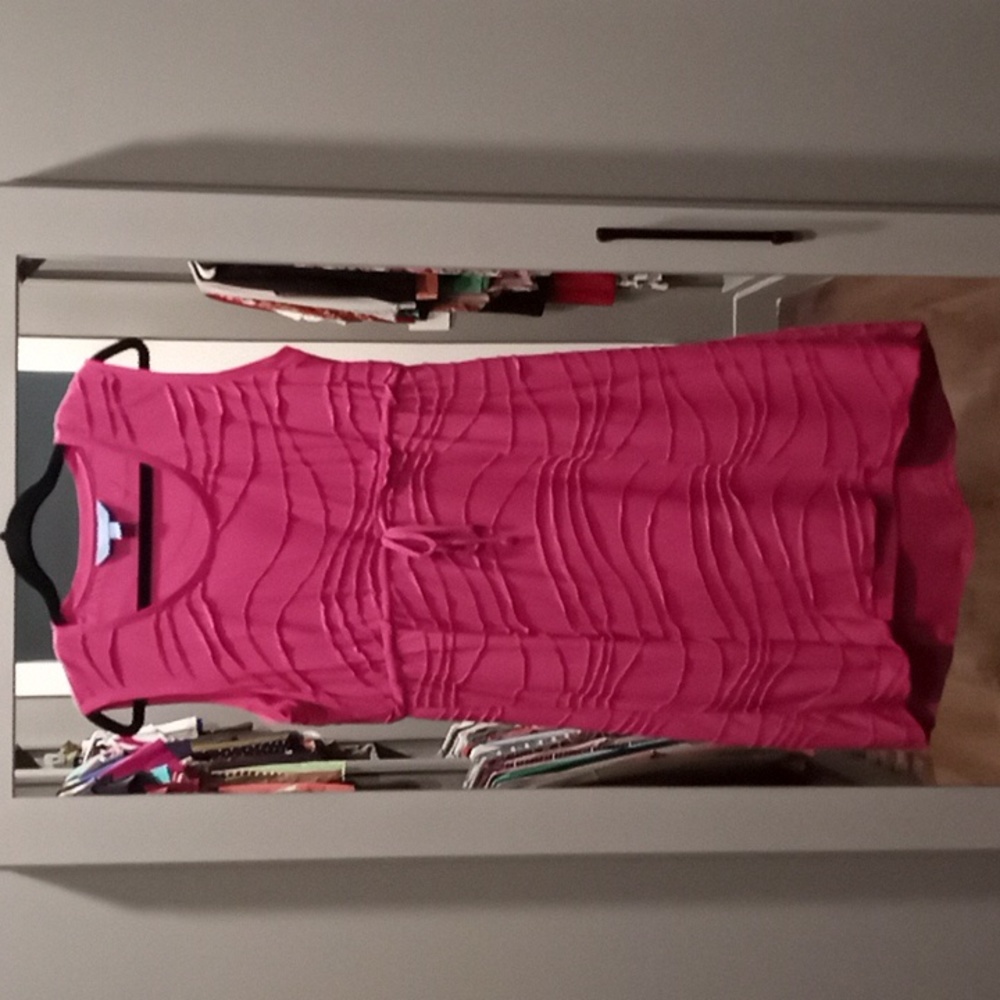 Rich Rose Pink Dress